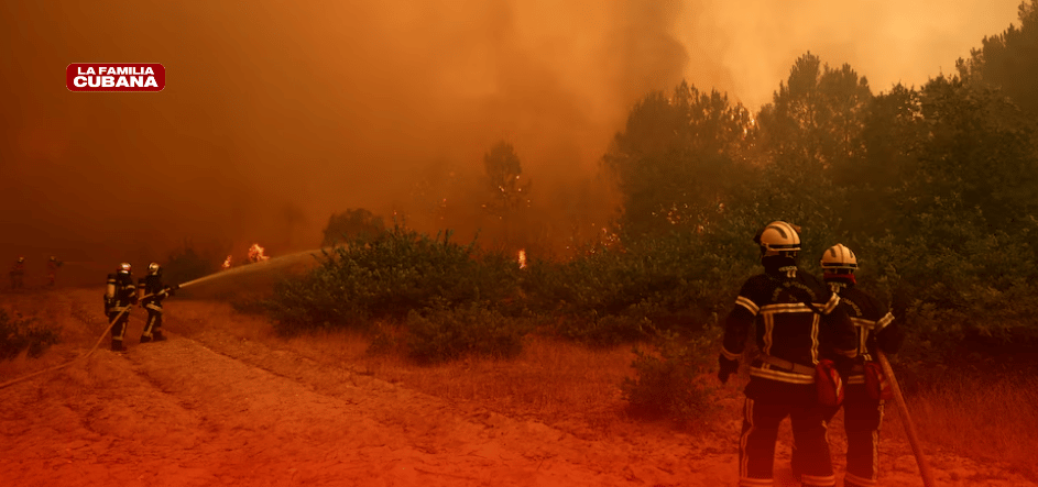 INCENDIO FRANCIA