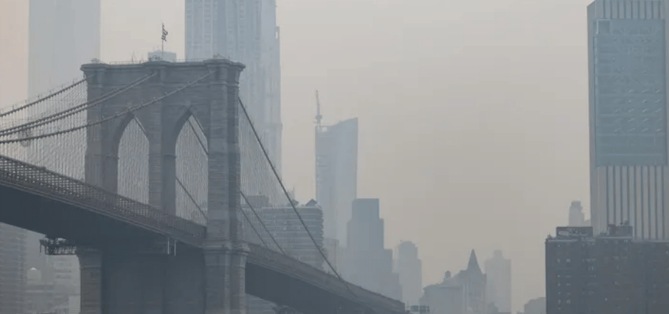 new york cielo
