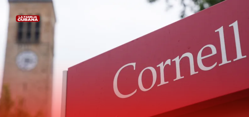 cornell university